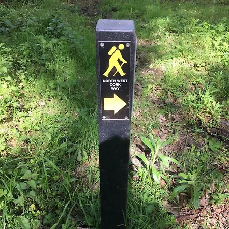 The Lantställe *